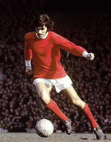 仅展示了该 仅展示了该