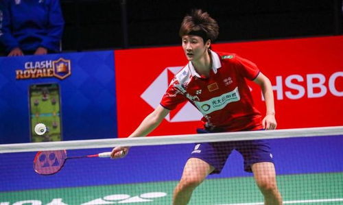 小火龙申京 小火龙申京